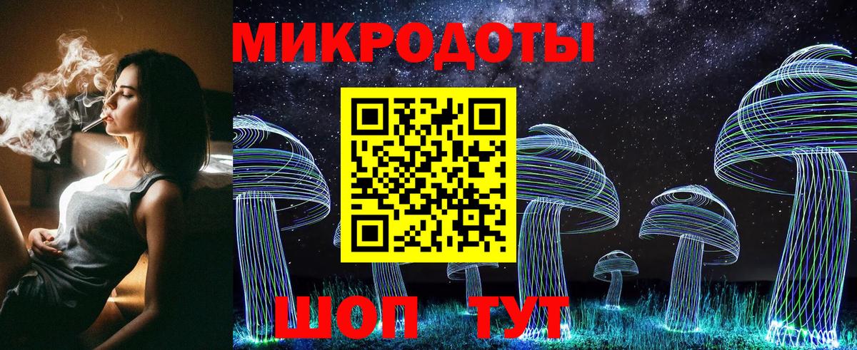 Псилоцибиновые грибы мицелий Тайшет